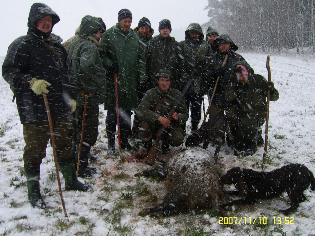 POSLEDNÍ LEČ 2007