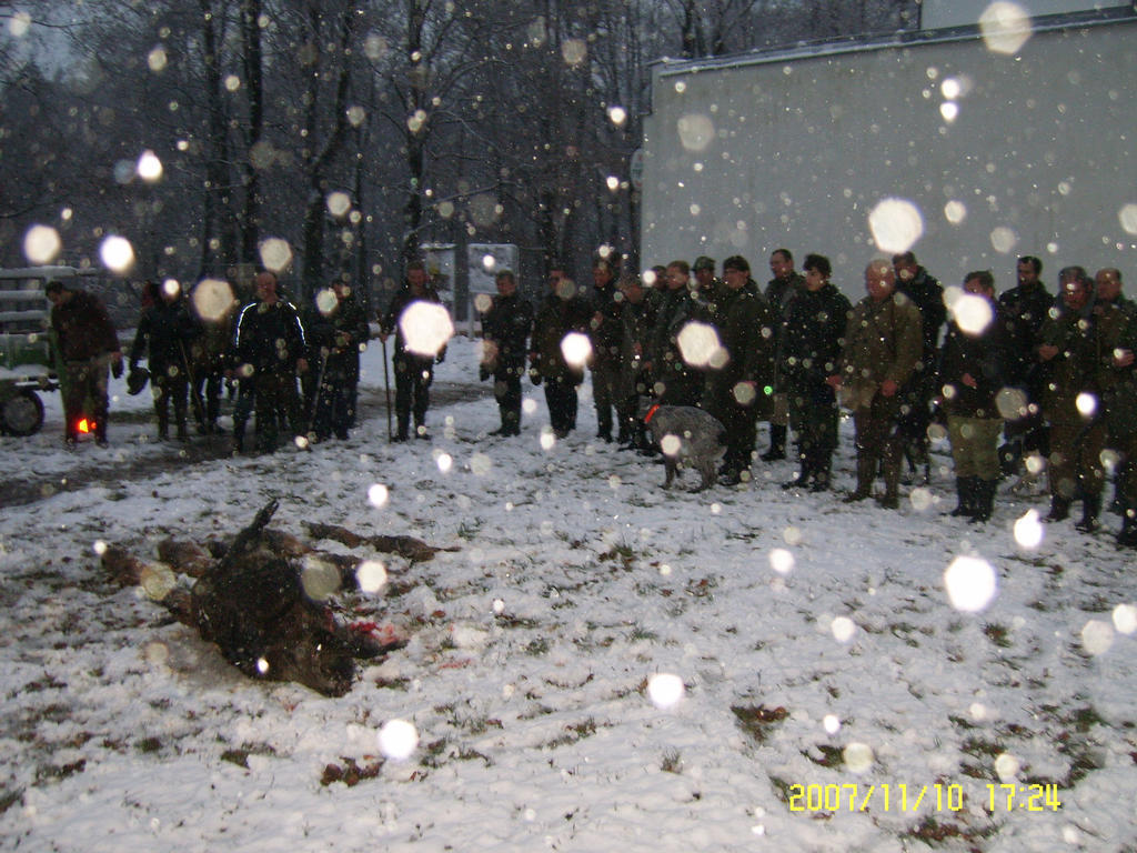 POSLEDNÍ LEČ 2007